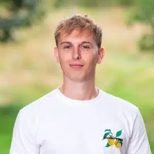 Werk van Nemer